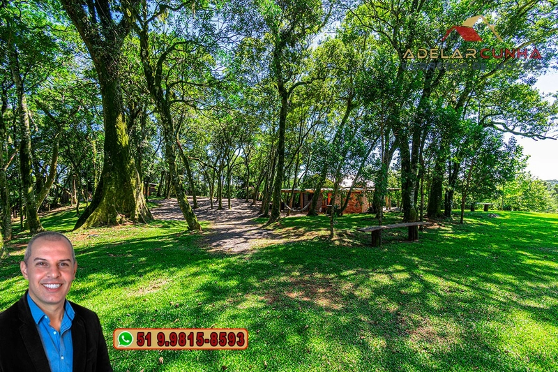 À VENDA: Sítio de 4 hectares em Serra Grande - RS: 39ª foto da galeria de imagens do imóvel