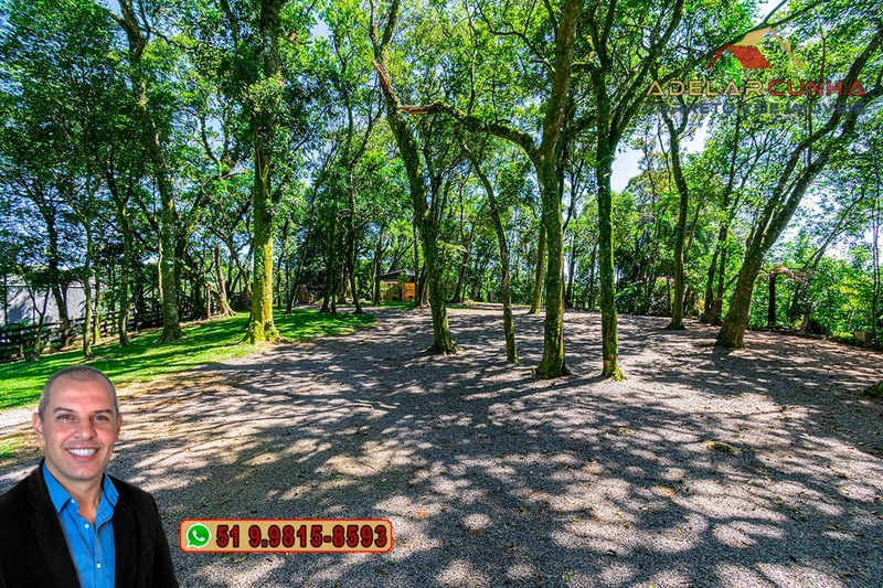 À VENDA: Sítio de 4 hectares em Serra Grande - RS: 42ª foto da galeria de imagens do imóvel