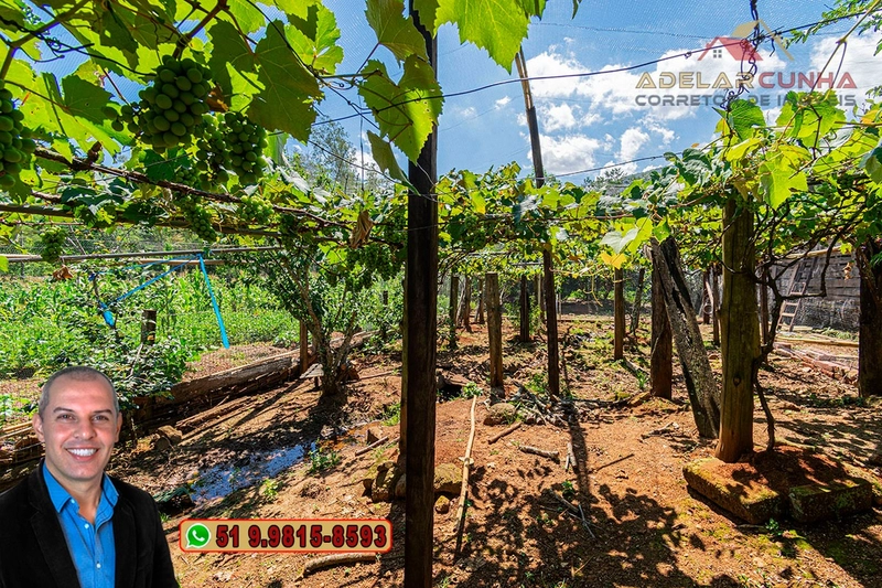 Chácara de 4.000m² à VENDA em Igrejinha - RS: 17ª foto da galeria de imagens do imóvel