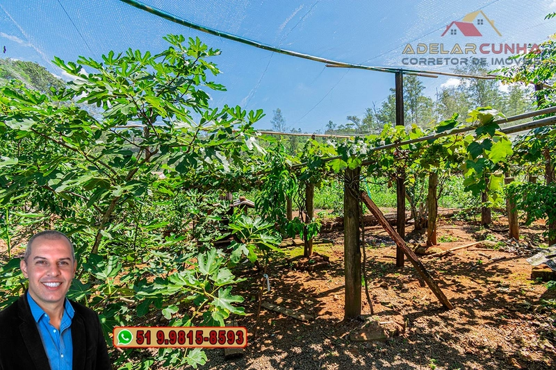 Chácara de 4.000m² à VENDA em Igrejinha - RS: 16ª foto da galeria de imagens do imóvel