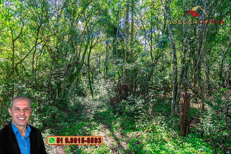 Chácara de 1.9 hectares à VENDA em Taquara - RS: 48ª foto da galeria de imagens do imóvel