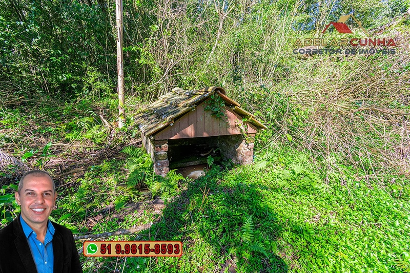 Chácara de 1.9 hectares à VENDA em Taquara - RS: 53ª foto da galeria de imagens do imóvel