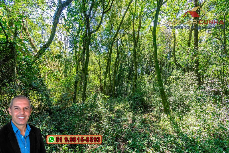 Chácara de 1.9 hectares à VENDA em Taquara - RS: 27ª foto da galeria de imagens do imóvel