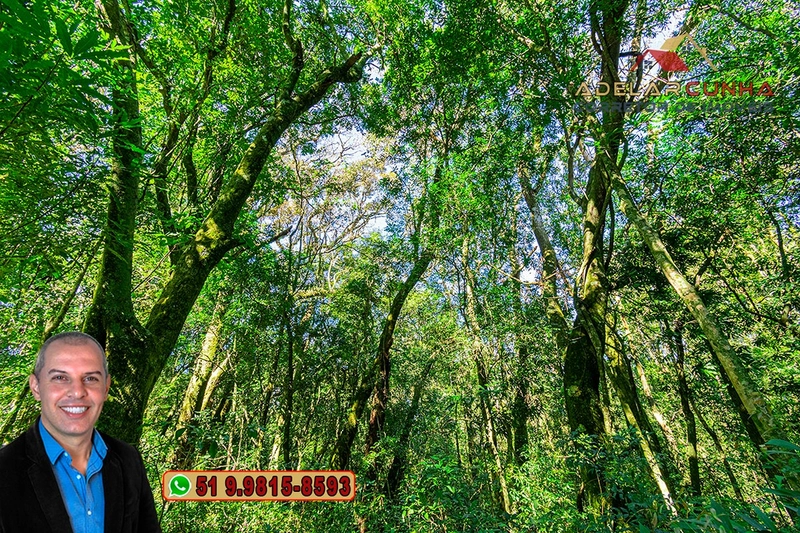 Chácara de 1.9 hectares à VENDA em Taquara - RS: 50ª foto da galeria de imagens do imóvel