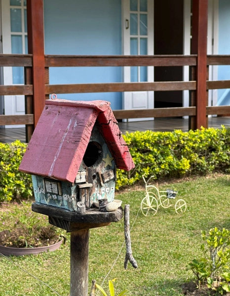 Casa dos Sonhos em São Pedro da Serra!: 2ª foto da galeria de imagens do imóvel