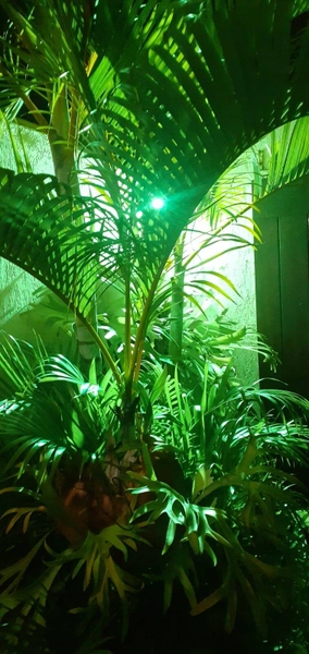 CASA A VENDA - JARDIM EXCELSIOR: 49ª foto da galeria de imagens do imóvel