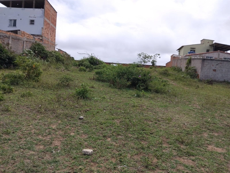 Terreno Gigante no Jardim Esperança: 2ª foto da galeria de imagens do imóvel