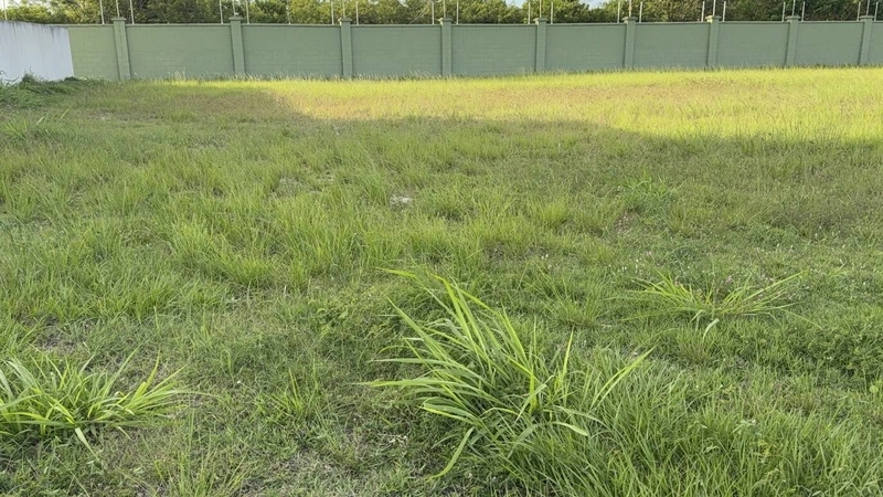 TERRENO ALPHAVILLE - OPORTUNIDADE: 10ª foto da galeria de imagens do imóvel