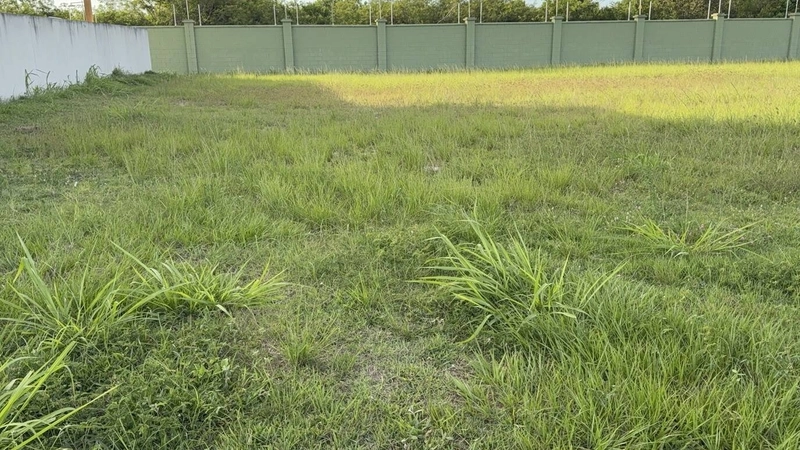 TERRENO ALPHAVILLE - OPORTUNIDADE: 12ª foto da galeria de imagens do imóvel