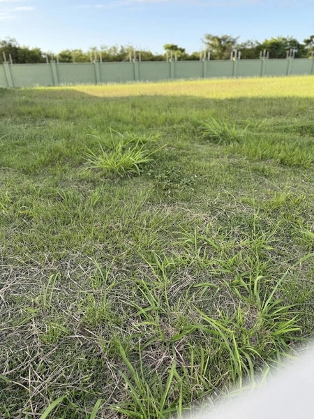 TERRENO ALPHAVILLE - OPORTUNIDADE: 7ª foto da galeria de imagens do imóvel