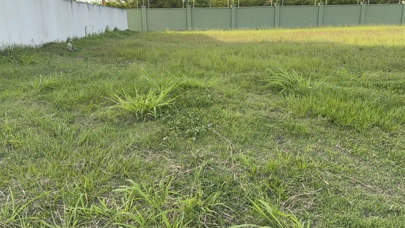 TERRENO ALPHAVILLE - OPORTUNIDADE: 13ª foto da galeria de imagens do imóvel