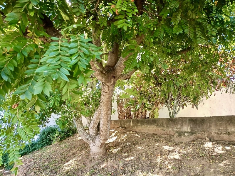Oportunidade única! Casa em amplo terreno de 680 m²  Balneário - São Pedro: 11ª foto da galeria de imagens do imóvel