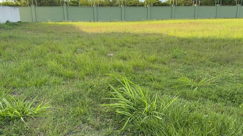 TERRENO ALPHAVILLE - OPORTUNIDADE: 10ª foto da galeria de imagens do imóvel