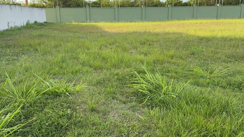 TERRENO ALPHAVILLE - OPORTUNIDADE: 12ª foto da galeria de imagens do imóvel
