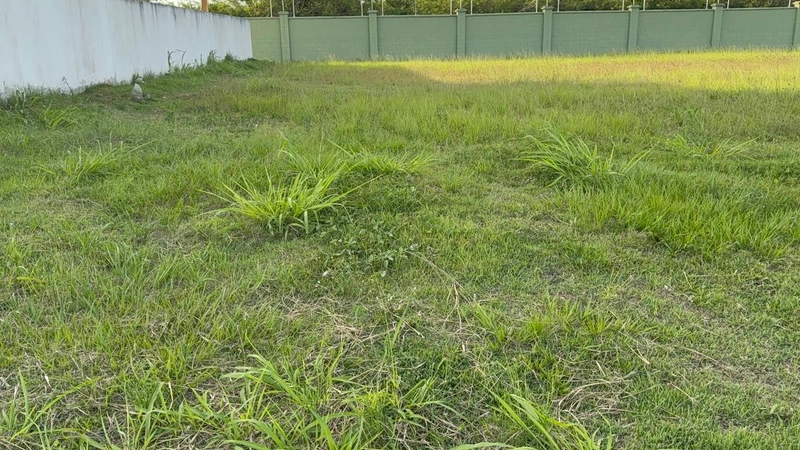 TERRENO ALPHAVILLE - OPORTUNIDADE: 13ª foto da galeria de imagens do imóvel