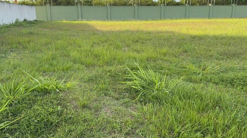 TERRENO ALPHAVILLE - OPORTUNIDADE: 11ª foto da galeria de imagens do imóvel