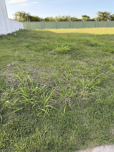 TERRENO ALPHAVILLE - OPORTUNIDADE: 6ª foto da galeria de imagens do imóvel