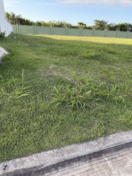 TERRENO ALPHAVILLE - OPORTUNIDADE: 9ª foto da galeria de imagens do imóvel