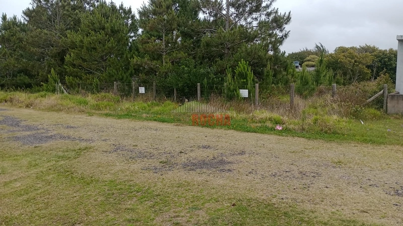 TERRENO FRENTE LESTE MAR EM PRAIA ARROIO TEIXEIRA: 4ª foto da galeria de imagens do imóvel