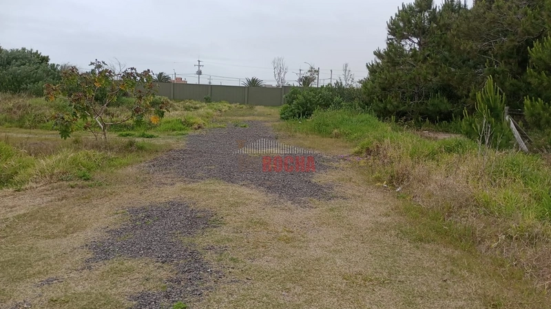 TERRENO FRENTE LESTE MAR EM PRAIA ARROIO TEIXEIRA: 6ª foto da galeria de imagens do imóvel