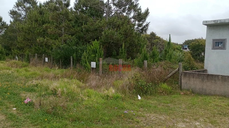 TERRENO FRENTE LESTE MAR EM PRAIA ARROIO TEIXEIRA: 5ª foto da galeria de imagens do imóvel