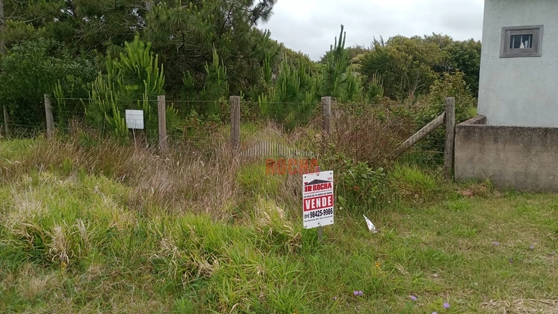 TERRENO FRENTE LESTE MAR EM PRAIA ARROIO TEIXEIRA: 1ª foto da galeria de imagens do imóvel