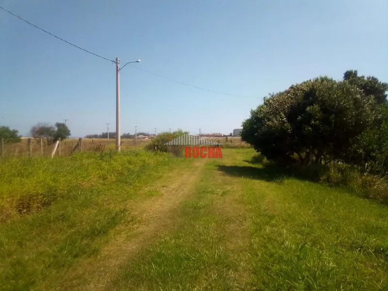 Terreno em Praia Gleba B Arroio Teixeira ao lado do Arenas!: 6ª foto da galeria de imagens do imóvel