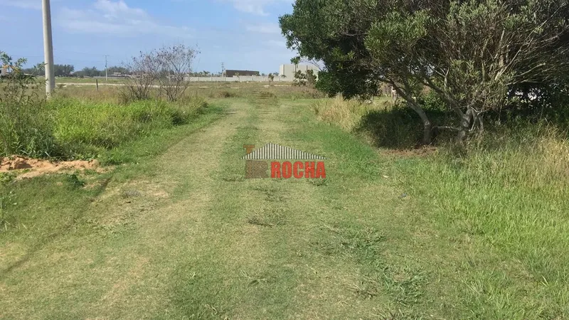 Terreno em Praia Gleba B Arroio Teixeira ao lado do Arenas!: 2ª foto da galeria de imagens do imóvel
