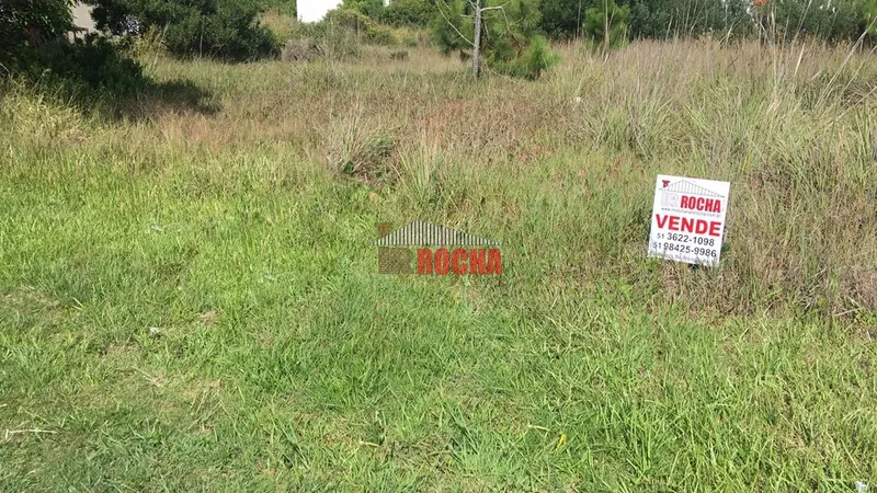 Terreno em Praia Gleba B Arroio Teixeira ao lado do Arenas!: 7ª foto da galeria de imagens do imóvel