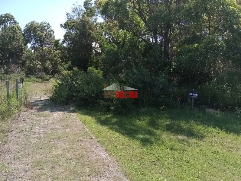 TERRENO PRÓXIMO A PRAÇA EM  PRAIA CURUMIM!: 4ª foto da galeria de imagens do imóvel