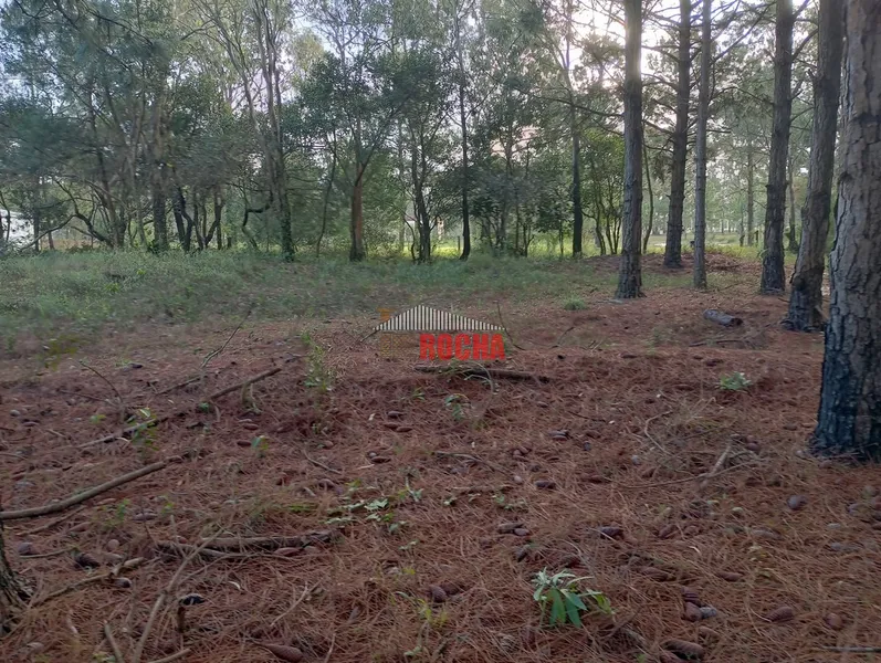 TERRENOS EM MEIO A NATUREZA PRAIA ARROIO TEIXEIRA!: 1ª foto da galeria de imagens do imóvel