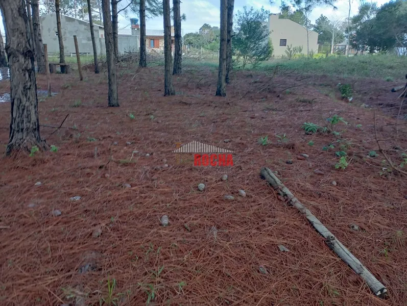 TERRENOS EM MEIO A NATUREZA PRAIA ARROIO TEIXEIRA!: 2ª foto da galeria de imagens do imóvel
