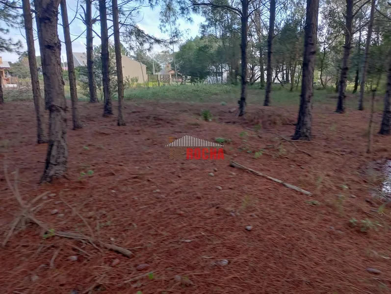 TERRENOS EM MEIO A NATUREZA PRAIA ARROIO TEIXEIRA!: 3ª foto da galeria de imagens do imóvel