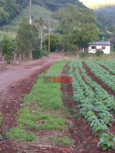 LINDA AREA DE TERRAS EM BOA UNIÃO!: 2ª foto da galeria de imagens do imóvel