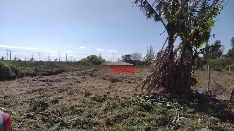 TERRENO EM PRAIA NOVO CURUMIM!: 1ª foto da galeria de imagens do imóvel