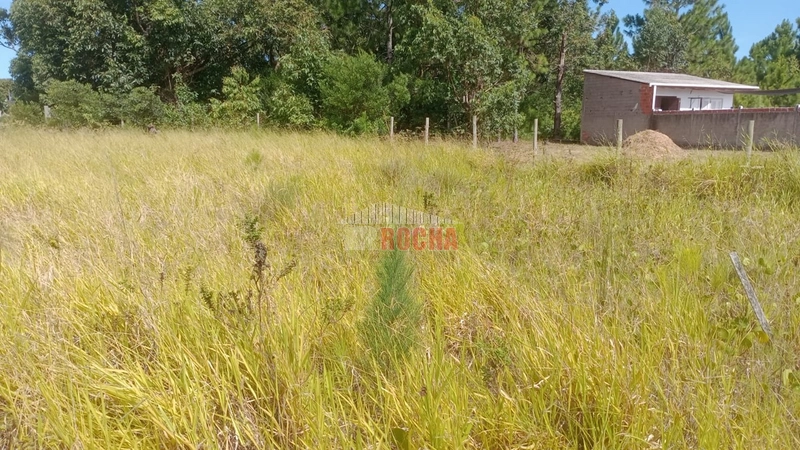 TERRENO EM PRAIA ARROIO TEIXEIRA!: 1ª foto da galeria de imagens do imóvel