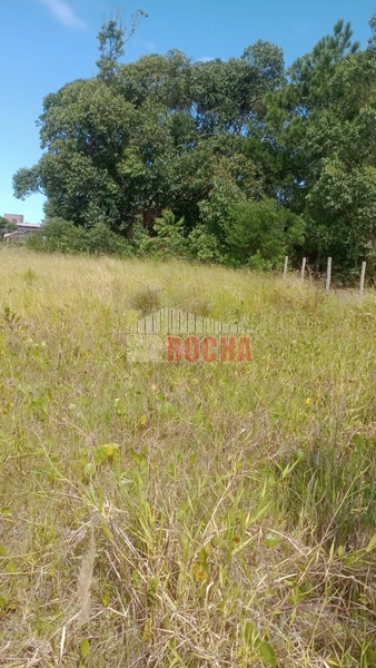 TERRENO EM PRAIA ARROIO TEIXEIRA!: 2ª foto da galeria de imagens do imóvel