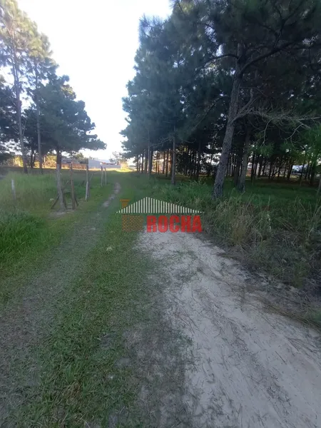 TERRENO COM METRAGEM DIFERENCIADA EM ARROIO TEIXEIRA!: 5ª foto da galeria de imagens do imóvel