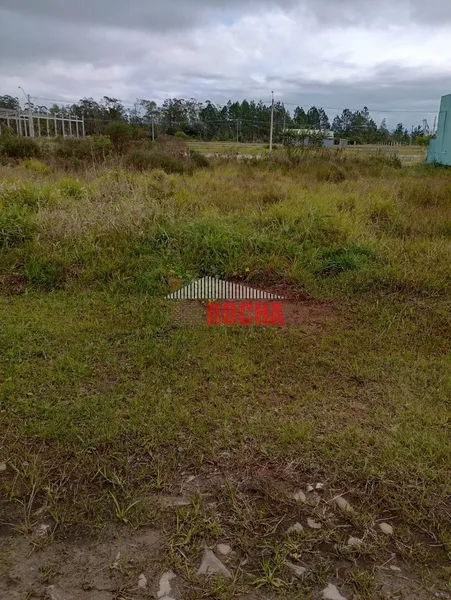 IMOBILIÁRIA ROCHA VENDE TERRENO EM PRAIA DE CURUMIM!: 5ª foto da galeria de imagens do imóvel