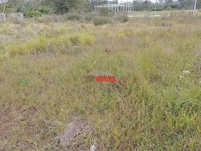 IMOBILIÁRIA ROCHA VENDE TERRENO EM PRAIA DE CURUMIM!: 3ª foto da galeria de imagens do imóvel