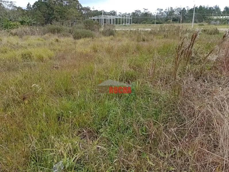 IMOBILIÁRIA ROCHA VENDE TERRENO EM PRAIA DE CURUMIM!: 2ª foto da galeria de imagens do imóvel