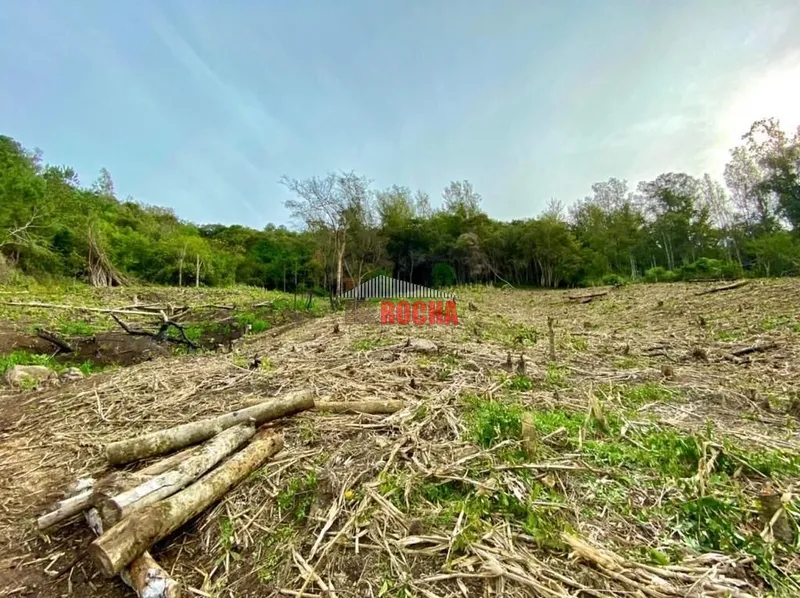 Terras em hectares a venda em Três Coroas!: 7ª foto da galeria de imagens do imóvel