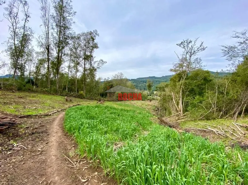 Terras em hectares a venda em Três Coroas!: 2ª foto da galeria de imagens do imóvel