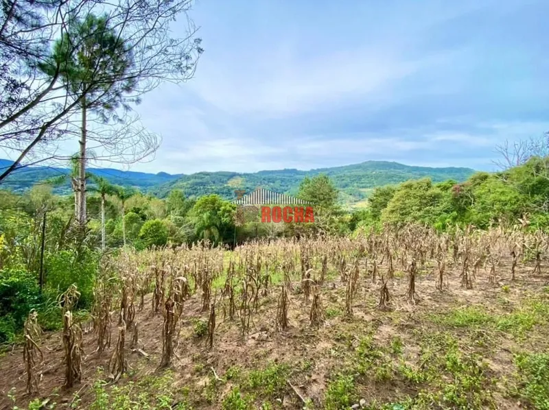 Terras em hectares a venda em Três Coroas!: 4ª foto da galeria de imagens do imóvel