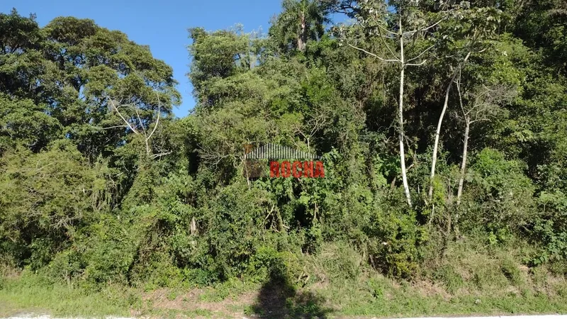 LINDO SÍTIO EM MAQUINÉ, MORRO ALTO!: 15ª foto da galeria de imagens do imóvel