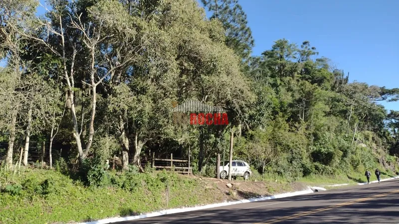 LINDO SÍTIO EM MAQUINÉ, MORRO ALTO!: 11ª foto da galeria de imagens do imóvel
