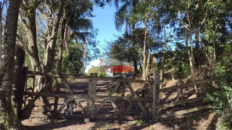 LINDO SÍTIO EM MAQUINÉ, MORRO ALTO!: 2ª foto da galeria de imagens do imóvel