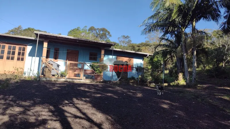 LINDO SÍTIO EM MAQUINÉ, MORRO ALTO!: 5ª foto da galeria de imagens do imóvel