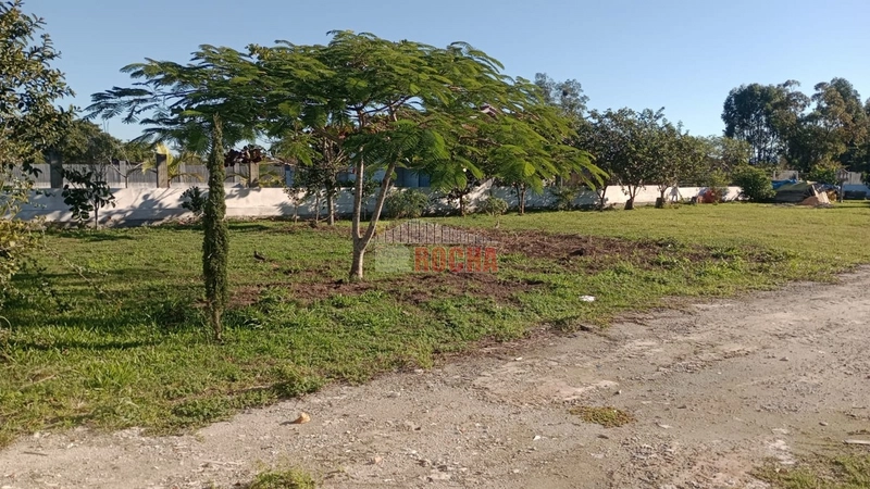 Excelente área, em Arroio Teixeira! Onde pode construir sua chácara!!: 4ª foto da galeria de imagens do imóvel