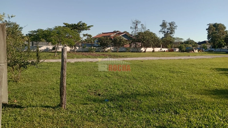 Excelente área, em Arroio Teixeira! Onde pode construir sua chácara!!: 6ª foto da galeria de imagens do imóvel